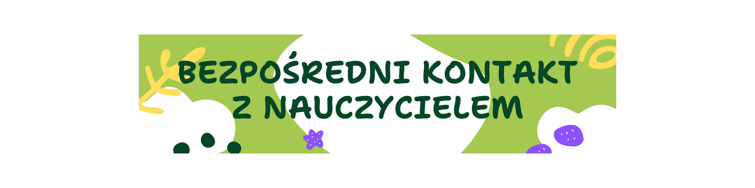 Partner Akademia Samborsi