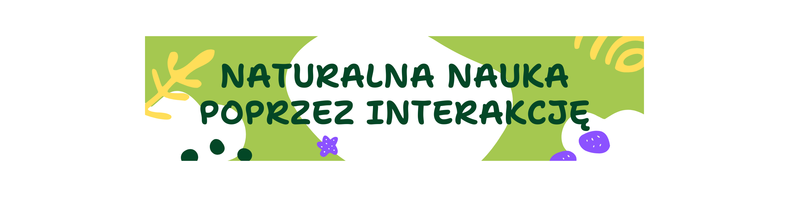 Partner Akademia Samborsi