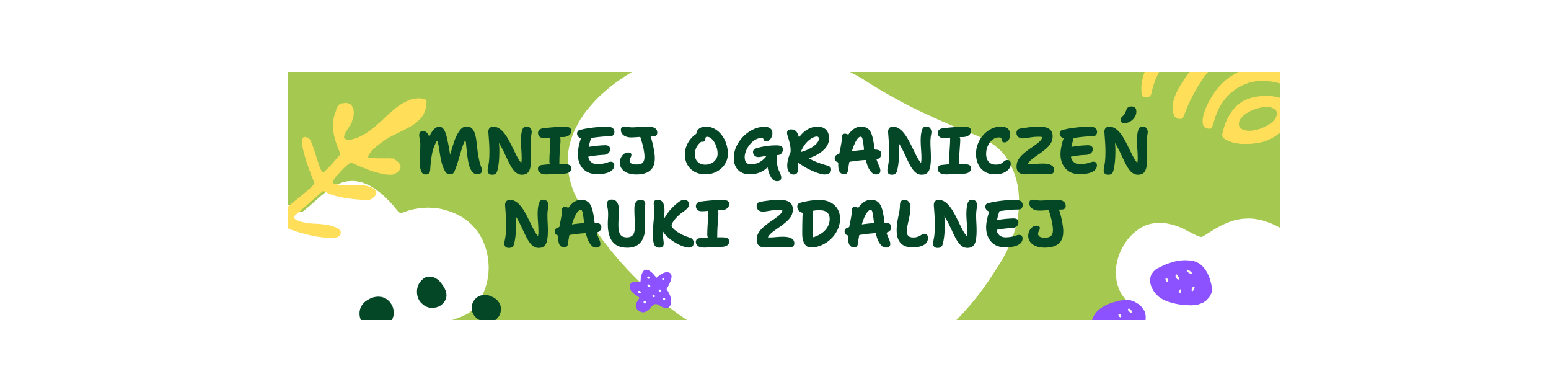 Partner Akademia Samborsi