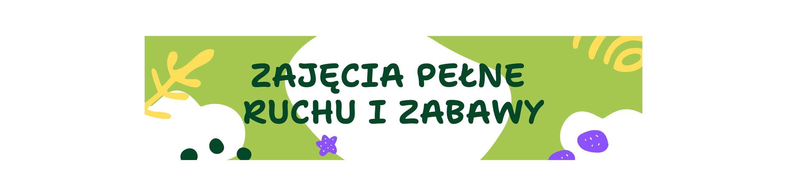 Partner Akademia Samborsi